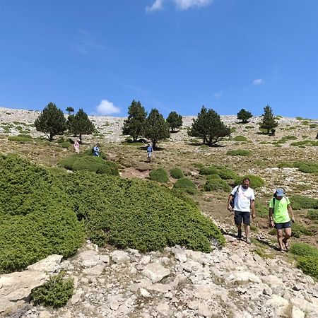 Dinosaur House Lejlighed Coll de Nargó Eksteriør billede